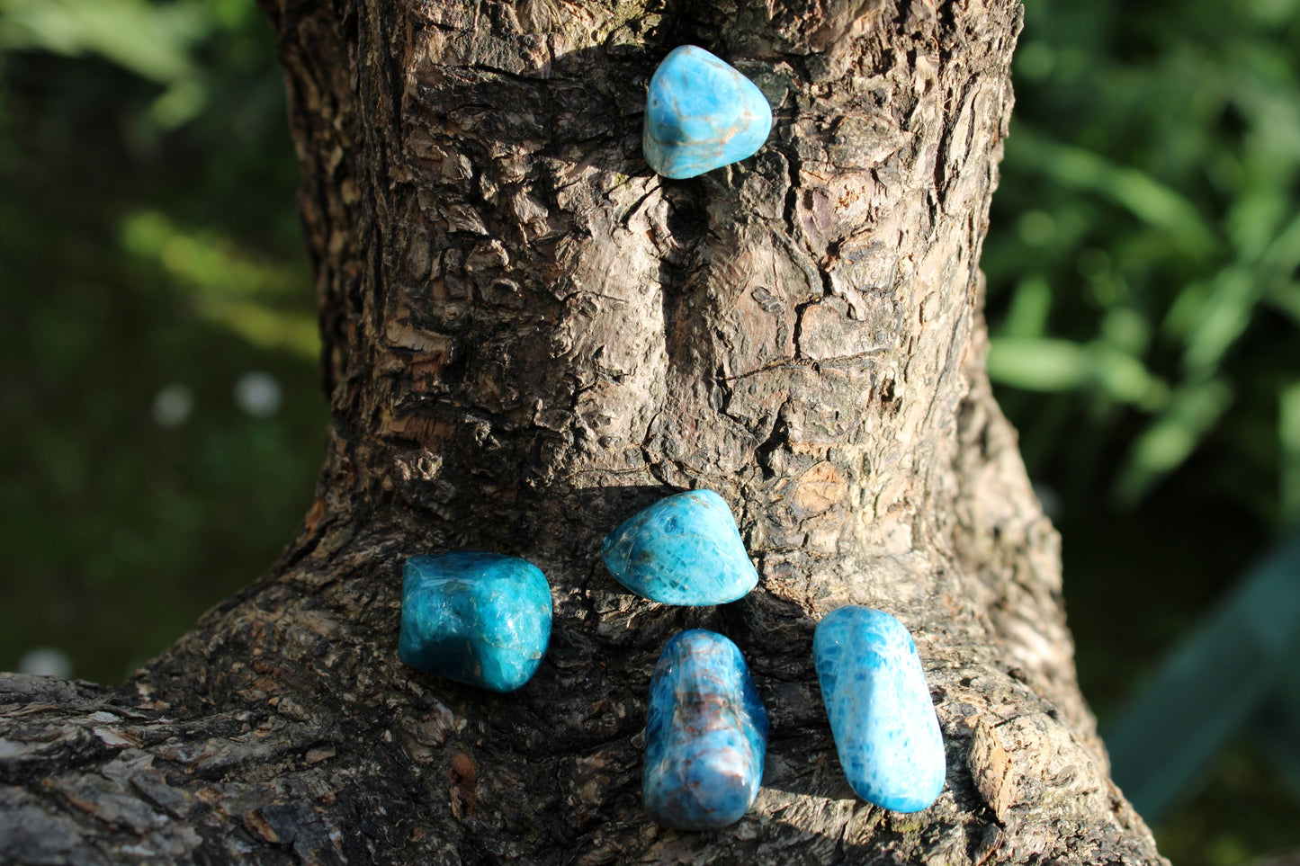 Apatite Madagascar burattata