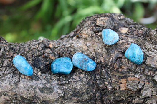 Apatite Madagascar burattata