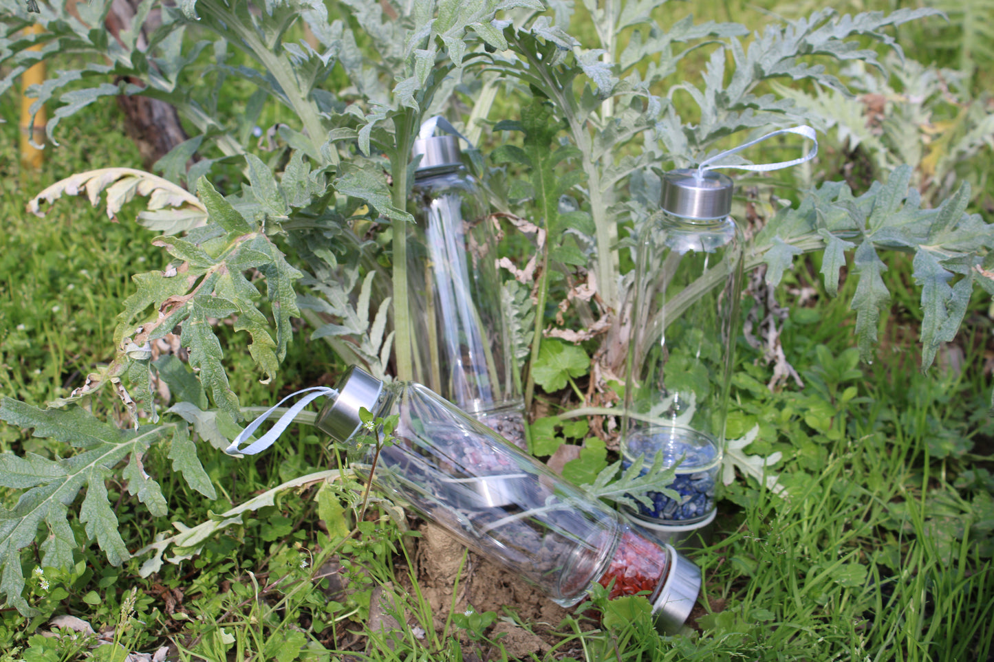 Bottiglia di vetro con cristalli per acqua informata