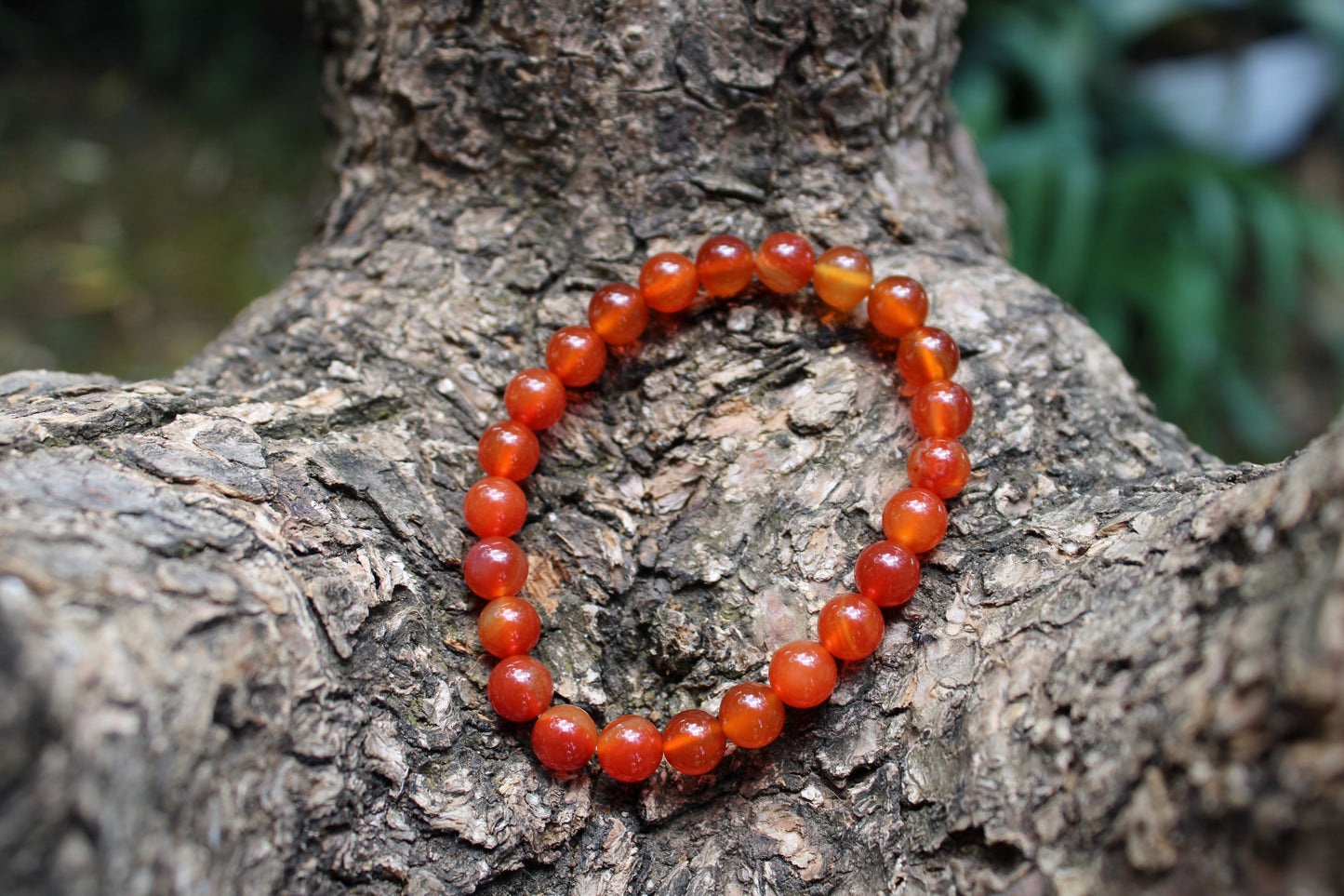 Bracciale Corniola