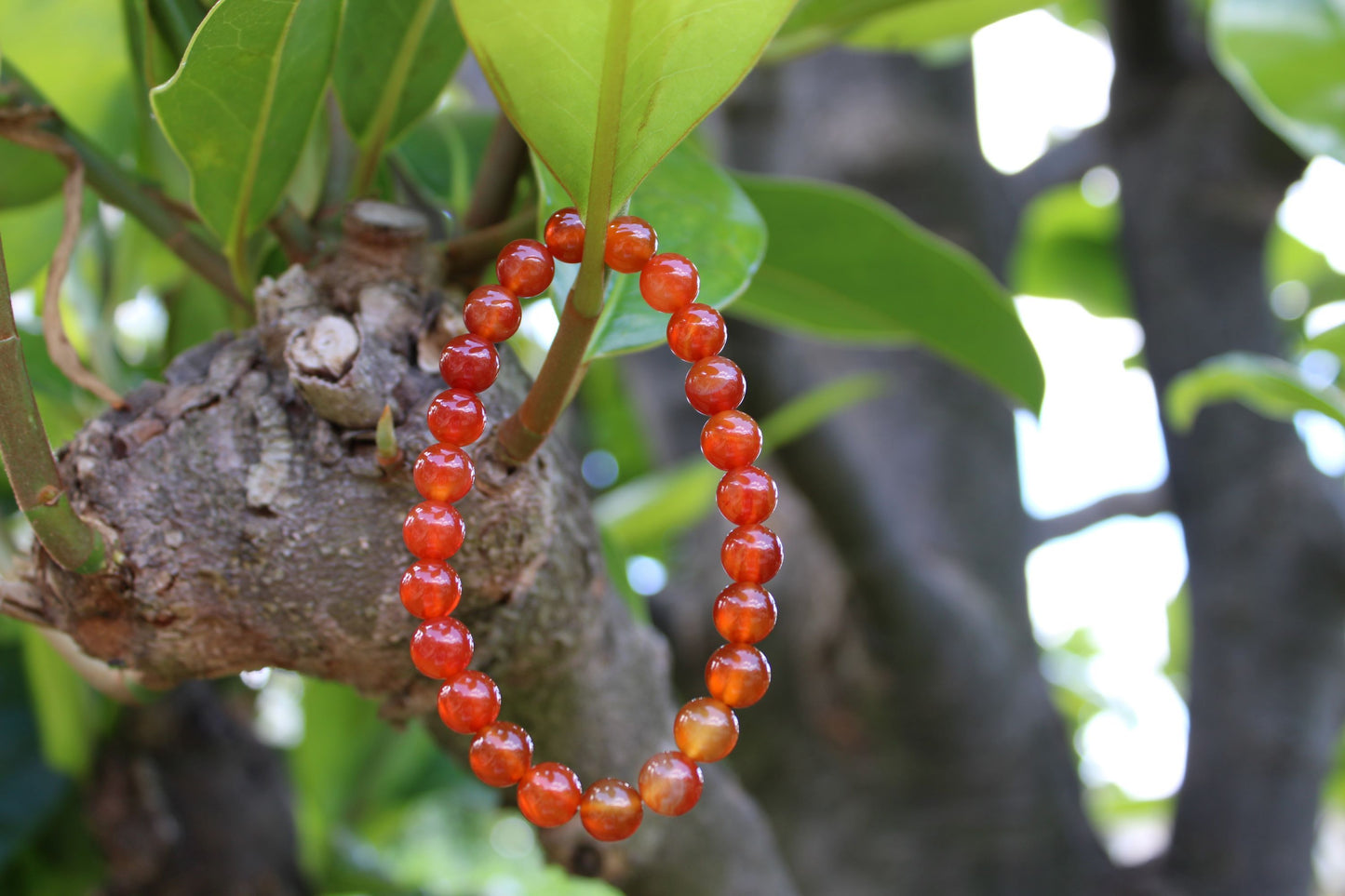 Bracciale Corniola