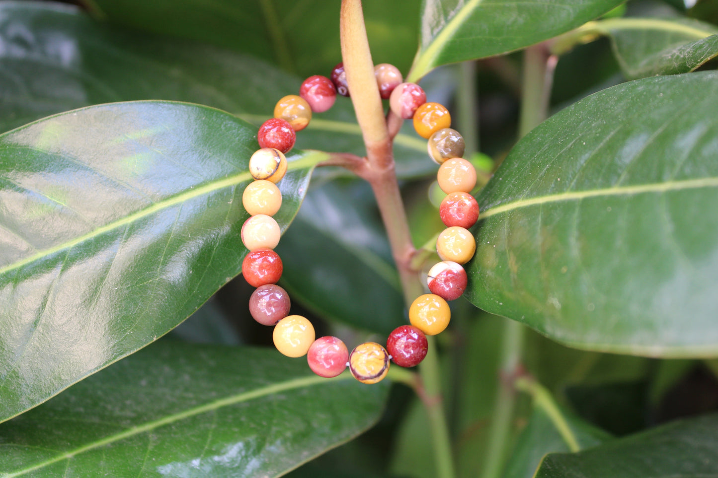 Bracciale Mookaite