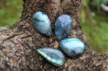 Labradorite a goccia (grande)