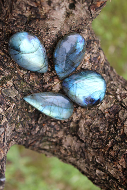 Labradorite a goccia (grande)