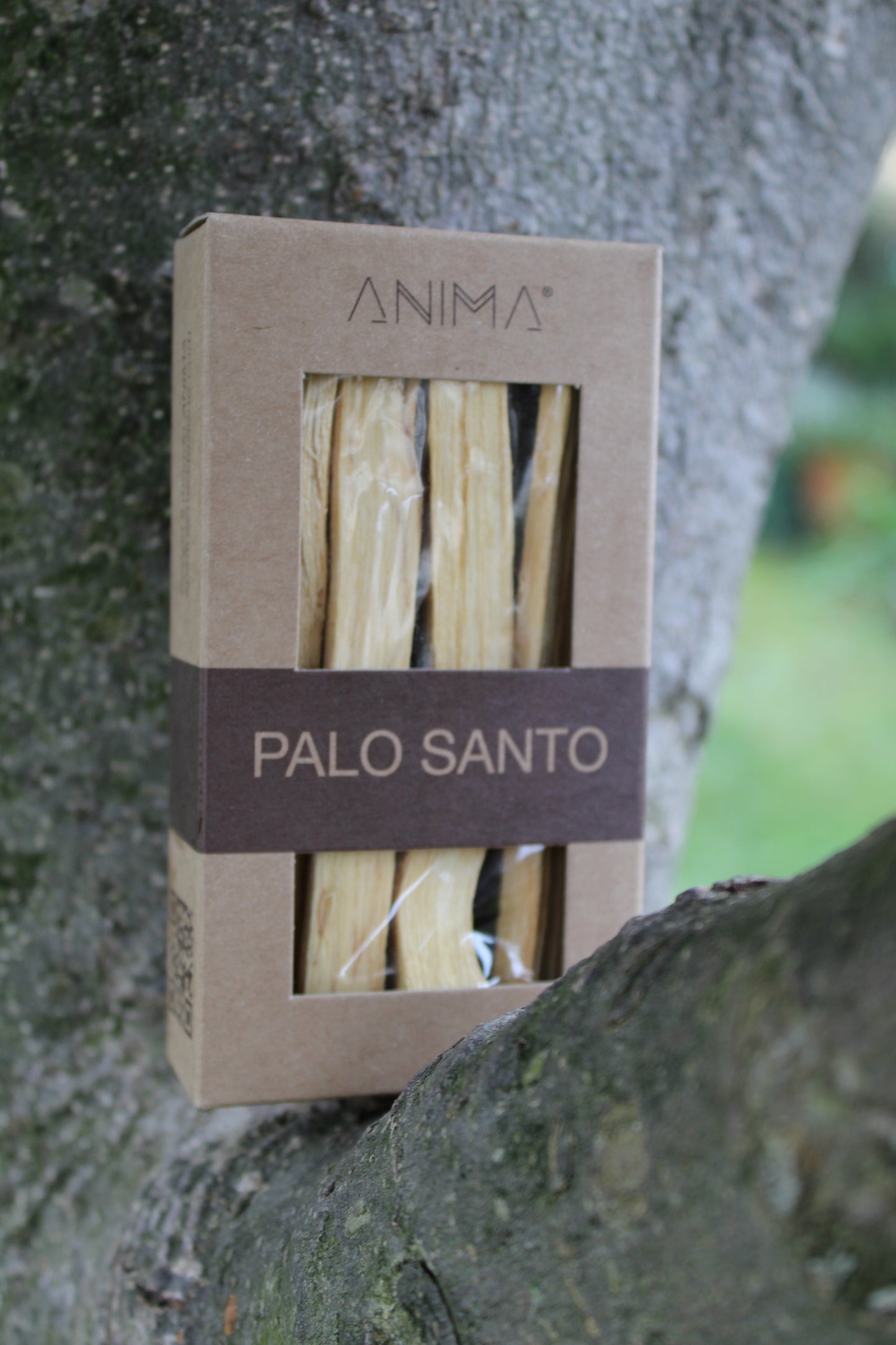 Palo Santo 4 legnetti in scatolina