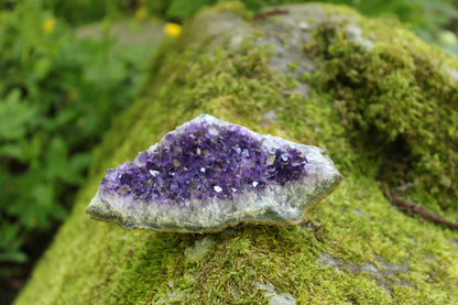 Drusa Ametista (Uruguay)