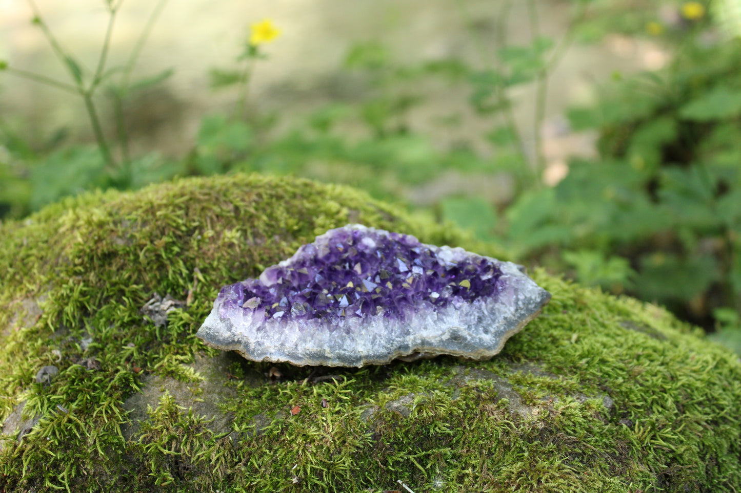 Drusa Ametista (Uruguay)