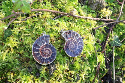 Ciondolo Ammonite (Madagascar)