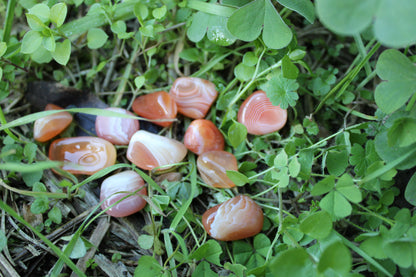 Corniola (Botswana)