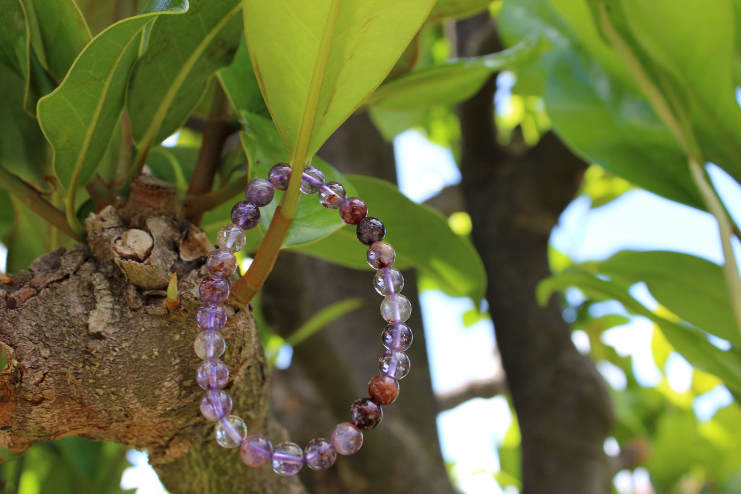 Bracciale Ametrino (Bolivia)