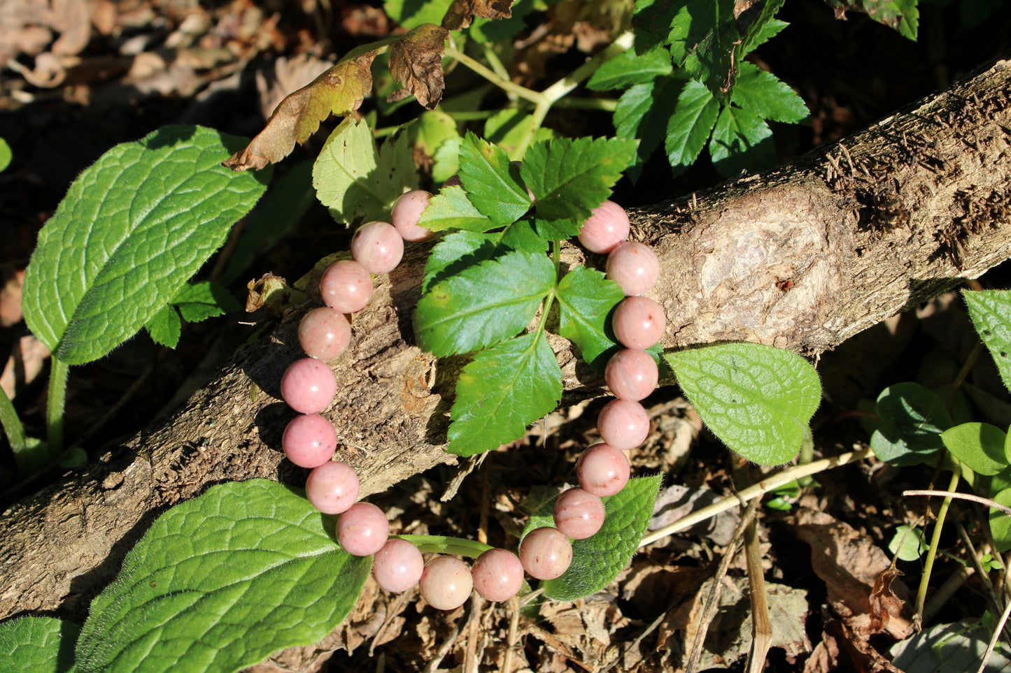 Bracciale Rodonite