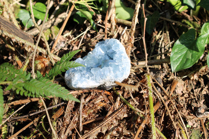 Geode Celestina (Madagascar)