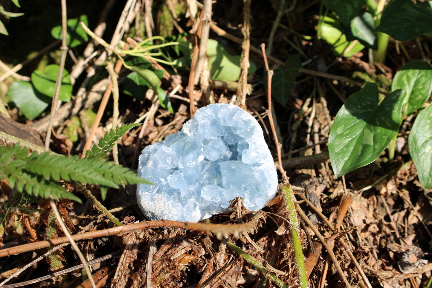 Geode Celestina (Madagascar)