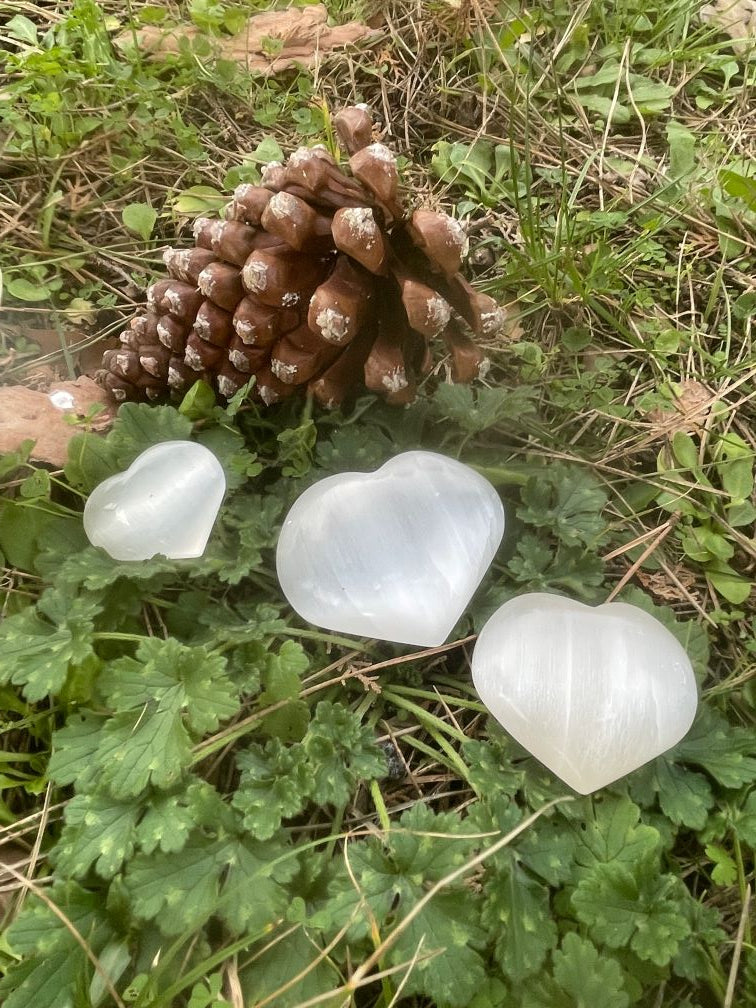 Cuori di Selenite (Marocco)