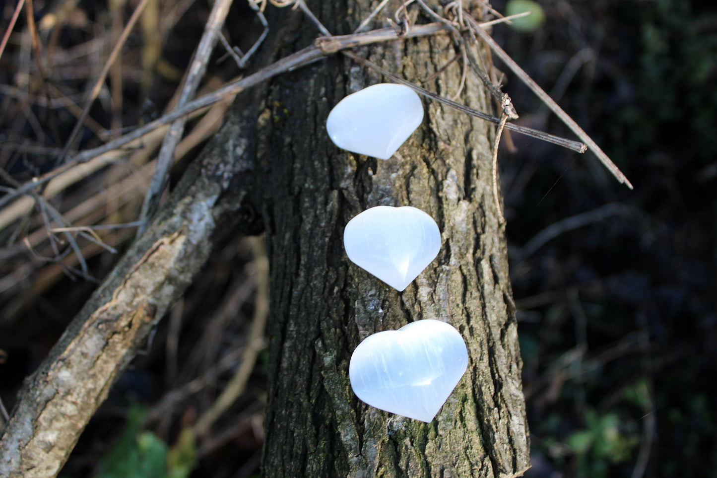 Cuori di Selenite (Marocco)