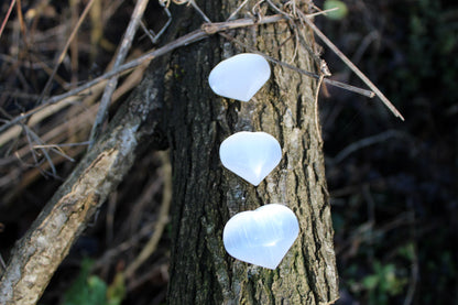 Cuori di Selenite (Marocco)