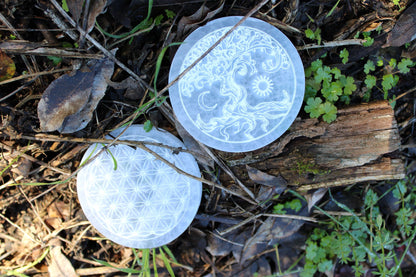 Disco di Selenite (Marocco)