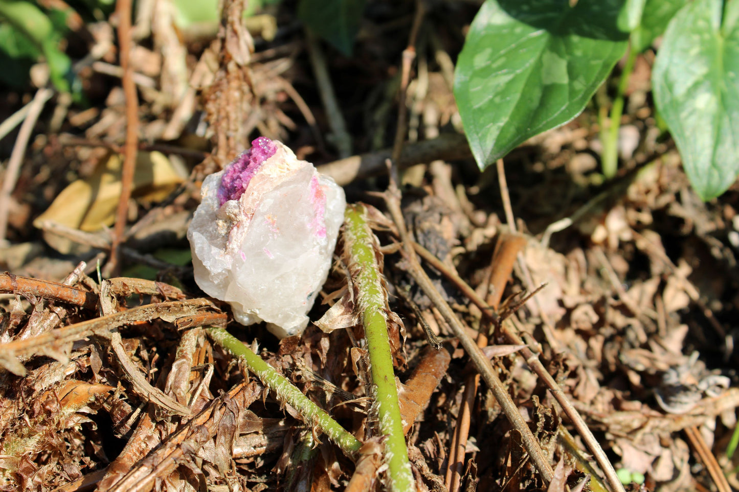 Elestiale con inclusione di Rubellite (Brasile) 01