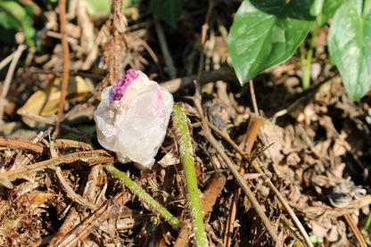 Elestiale con inclusione di Rubellite (Brasile) 01