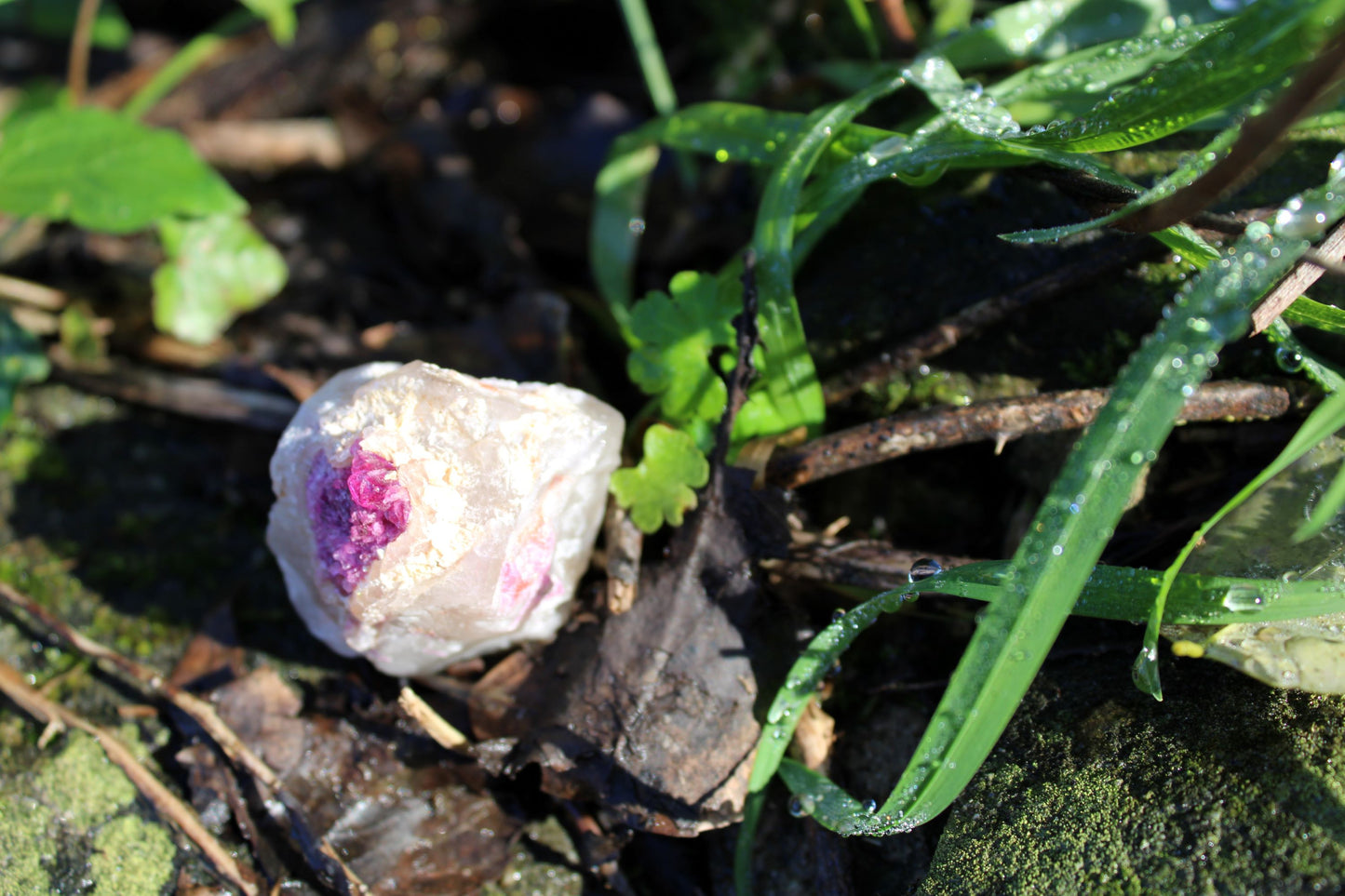 Elestiale con inclusione di Rubellite (Brasile) 01