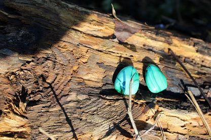 Malachite forata (Congo)