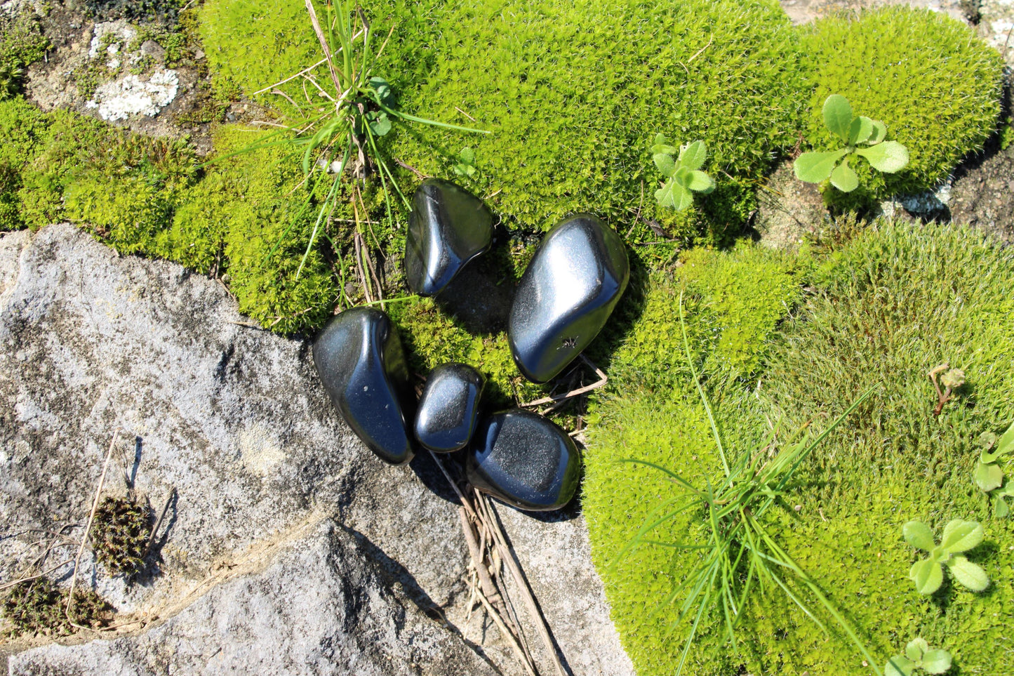 Shungite (Urali)