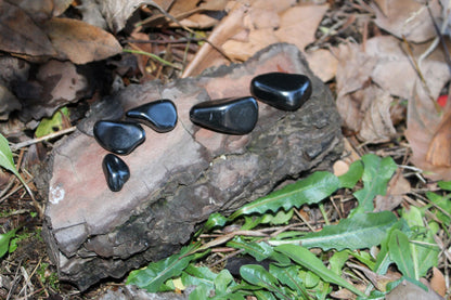 Shungite (Urali)