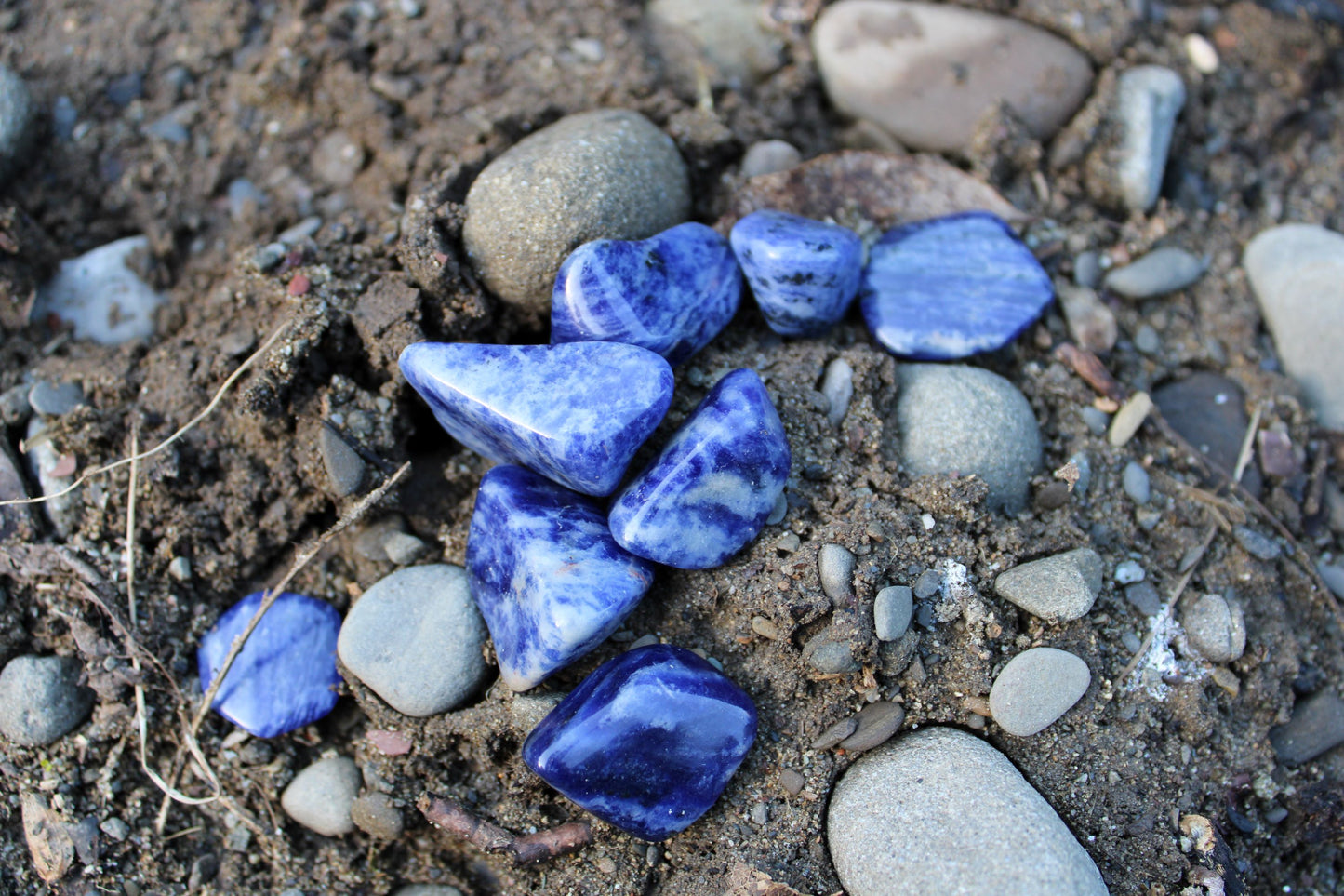 Sodalite (Namibia)