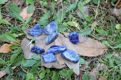 Sodalite (Namibia)